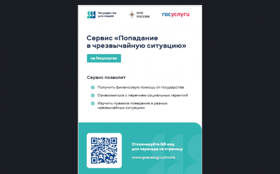 О цифровом сервисе «Чрезвычайная ситуация»