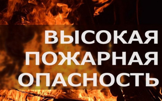 По данным Западно-Сибирского УГМС на территории Новосибирской области:  С23.07.2021 г. по 27.07.2021 г. по Новосибирской области ожидается высокая пожароопасность 4 класса горимости.