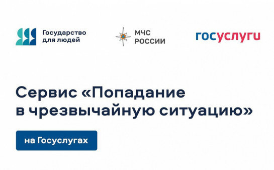В рамках реализации жизненной ситуации 